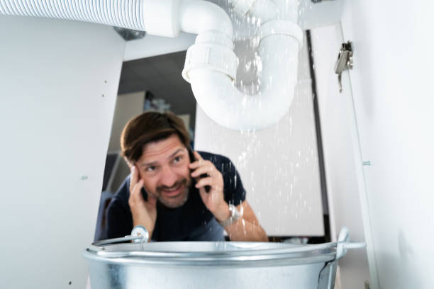 Best Affordable Plumbing Services  in New Eagle, PA